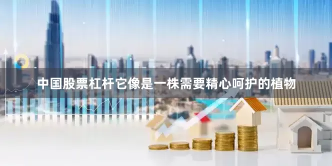 中国股票杠杆它像是一株需要精心呵护的植物