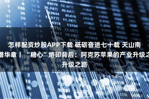 怎样配资炒股APP下载 砥砺奋进七十载 天山南北谱华章丨 “糖心”烙印背后：阿克苏苹果的产业升级之路