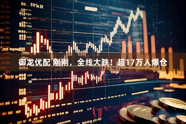御龙优配 刚刚，全线大跌！超17万人爆仓