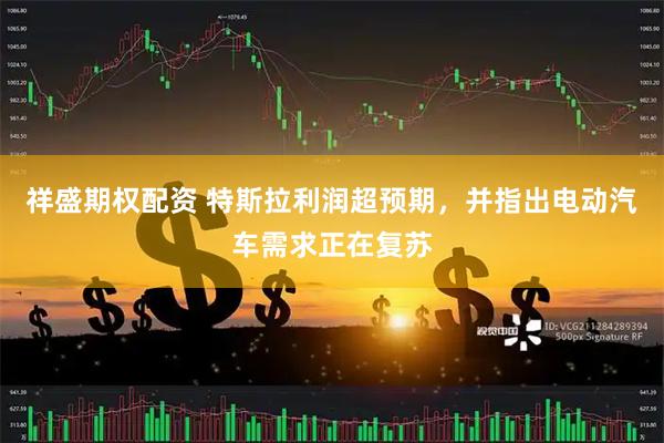 祥盛期权配资 特斯拉利润超预期，并指出电动汽车需求正在复苏