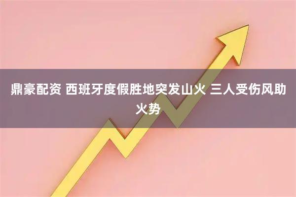 鼎豪配资 西班牙度假胜地突发山火 三人受伤风助火势